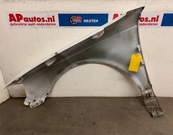 Spatbord AUDI A3 (8P1), AUDI A3 Sportback (8PA)