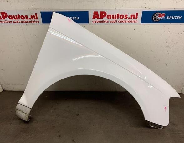 Spatbord AUDI A3 (8P1), AUDI A3 Sportback (8PA)