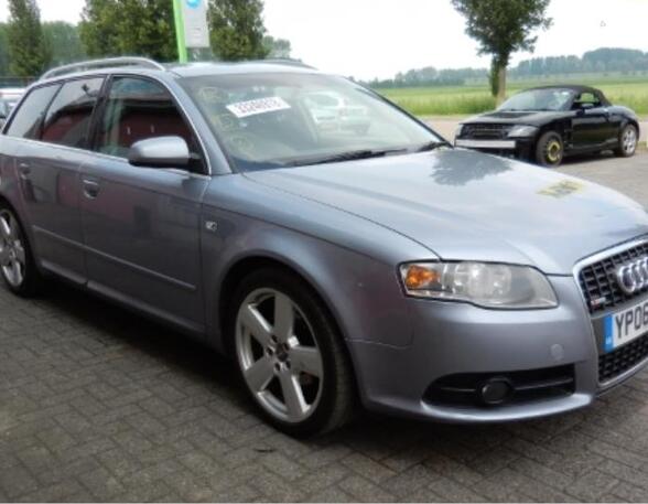 Door AUDI A4 Avant (8ED, B7)