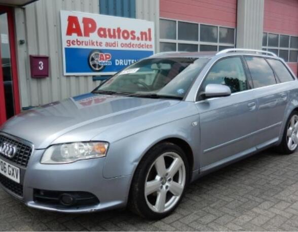 Deur AUDI A4 Avant (8ED, B7)