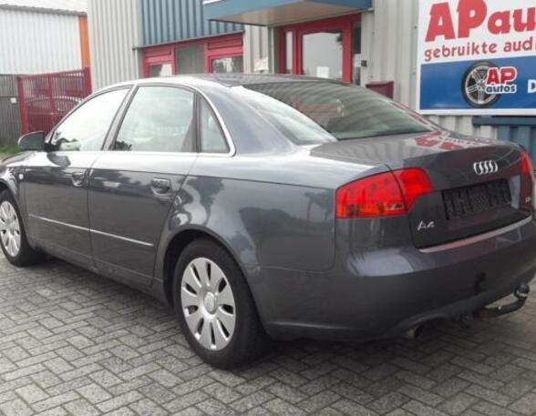 Deur AUDI A4 Avant (8E5, B6), AUDI A4 Avant (8ED, B7), AUDI A4 (8EC, B7), AUDI A4 (8E2, B6)