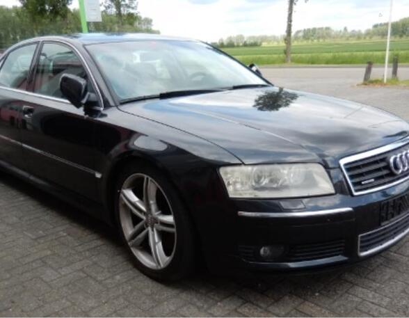 Door AUDI A8 (4E2, 4E8)