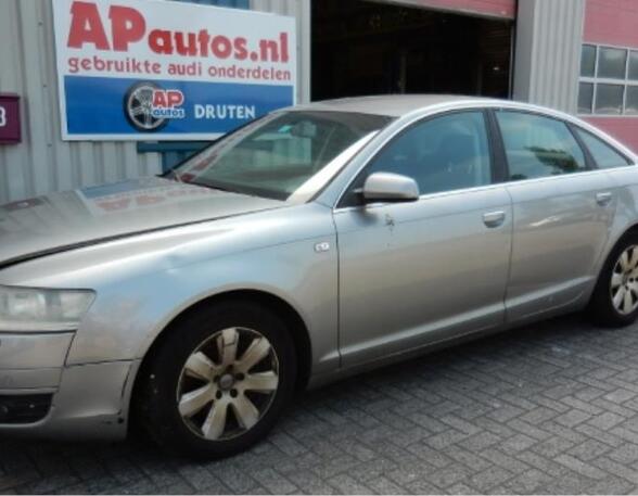 Deur AUDI A6 (4F2, C6)