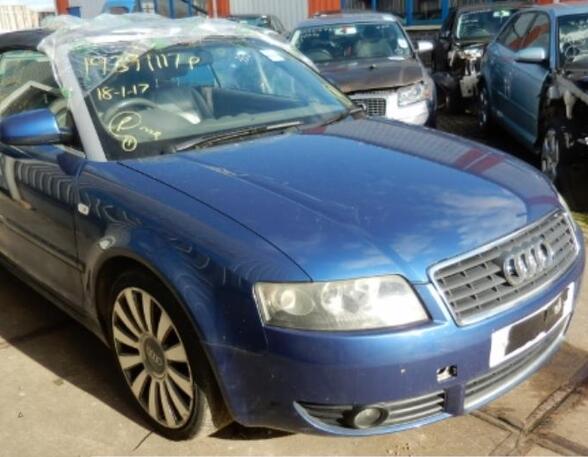 Deur AUDI A4 B7 Convertible (8HE)