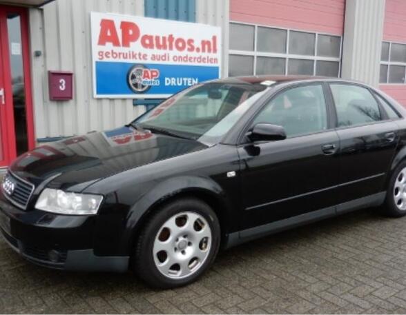 Door AUDI A4 (8E2, B6), AUDI A4 (8EC, B7), AUDI A4 Avant (8E5, B6), AUDI A4 Avant (8ED, B7)