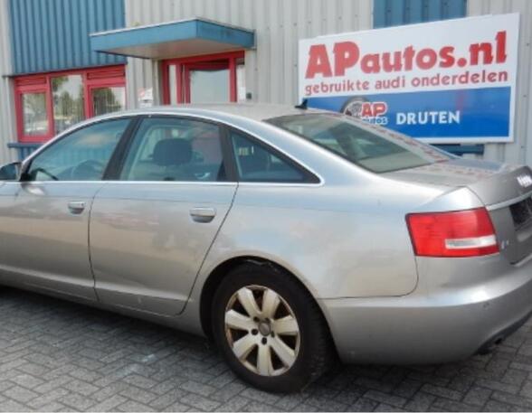 Deur AUDI A6 (4F2, C6)