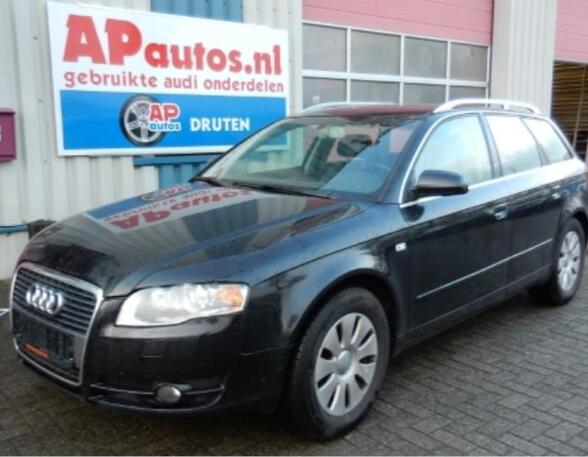 Door AUDI A4 Avant (8ED, B7), AUDI A4 Avant (8E5, B6)