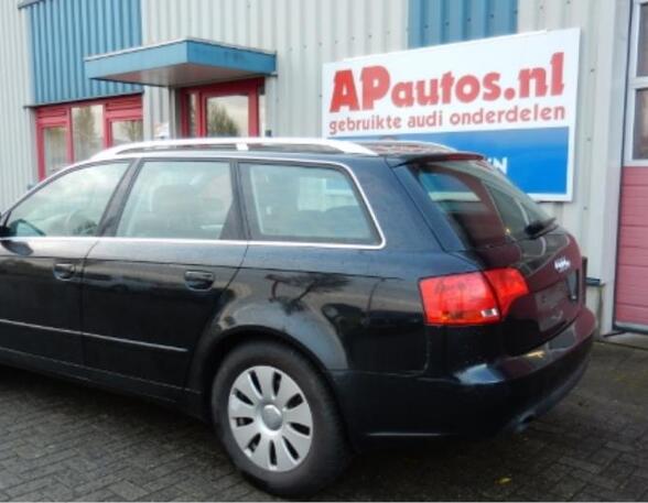 Door AUDI A4 Avant (8ED, B7), AUDI A4 Avant (8E5, B6), AUDI A4 (8E2, B6), AUDI A4 (8EC, B7)