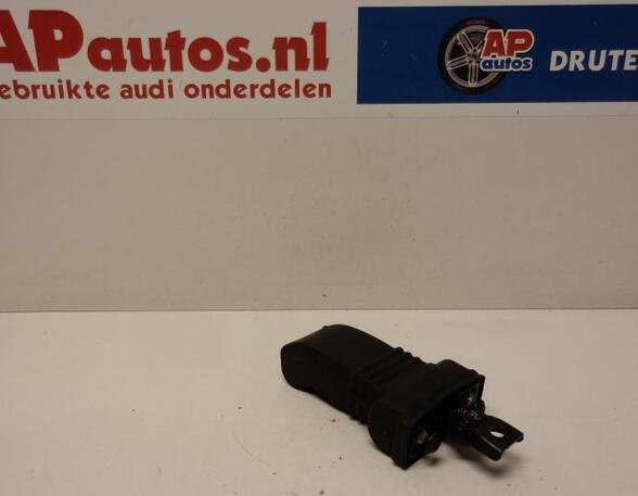 Door Check Strap AUDI A1 (8X1, 8XK), AUDI A1 Sportback (8XA, 8XF)