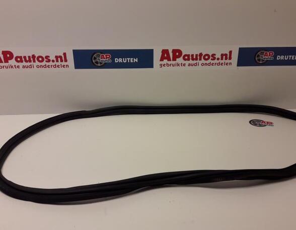 Door Seal AUDI A1 Sportback (8XA, 8XF)