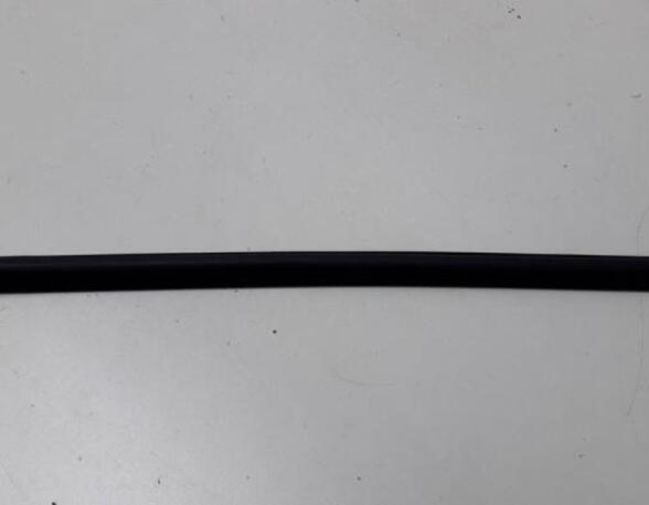 Door Seal AUDI A1 Sportback (8XA, 8XF)