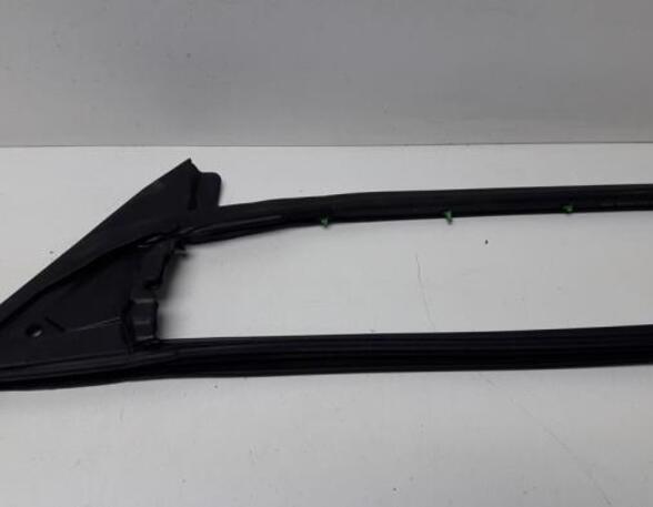 Door Seal AUDI A4 B7 Convertible (8HE)