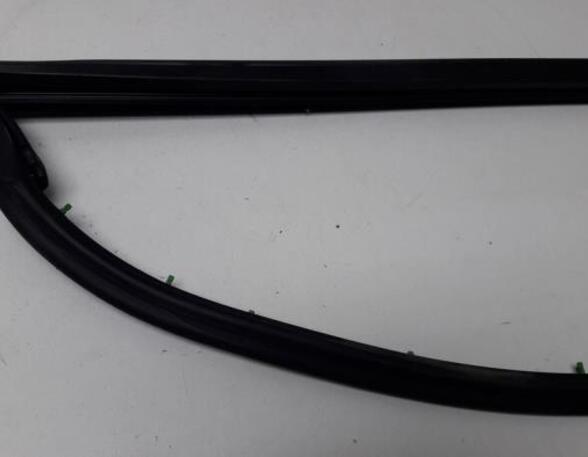 Door Seal AUDI A4 B7 Convertible (8HE)