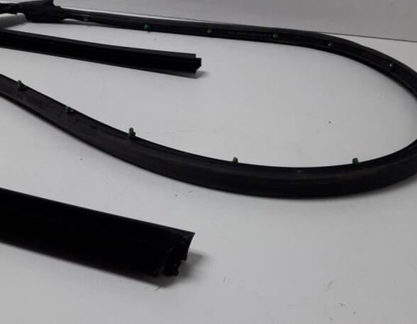 Door Seal AUDI A4 B7 Convertible (8HE)