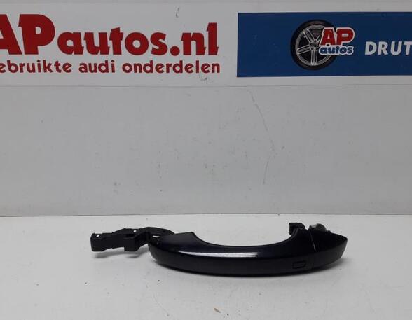 Door Handle AUDI A6 (4G2, 4GC, C7)