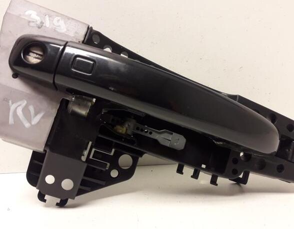 Door Handle AUDI A4 (8K2, B8)