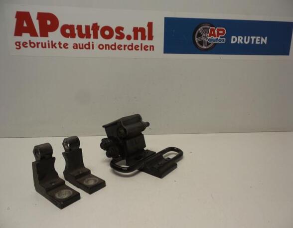 Door Hinge AUDI A4 (8EC, B7)