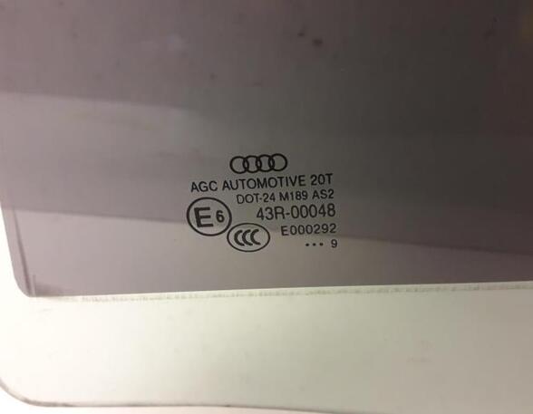 Door Glass AUDI Q5 (8RB), AUDI Q5 Van (8RB)