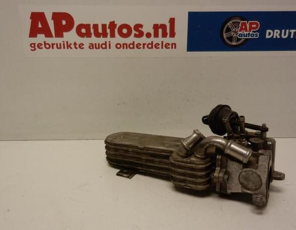 Uitlaatgasregelingsklep AUDI A3 (8P1), AUDI A3 Sportback (8PA)