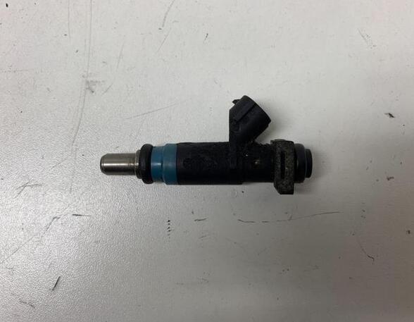 Injector Nozzle AUDI A4 Avant (8E5, B6), AUDI A4 Avant (8ED, B7)