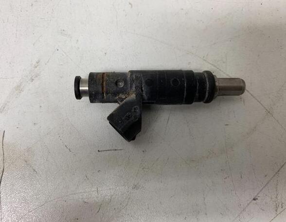 Injector Nozzle AUDI A4 Avant (8E5, B6), AUDI A4 Avant (8ED, B7)