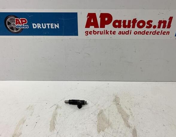 Injector Nozzle AUDI A4 Avant (8E5, B6), AUDI A4 Avant (8ED, B7)