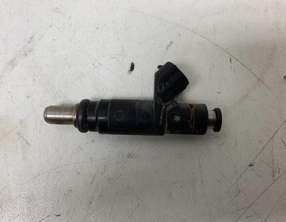 Injector Nozzle AUDI A4 Avant (8E5, B6), AUDI A4 Avant (8ED, B7)