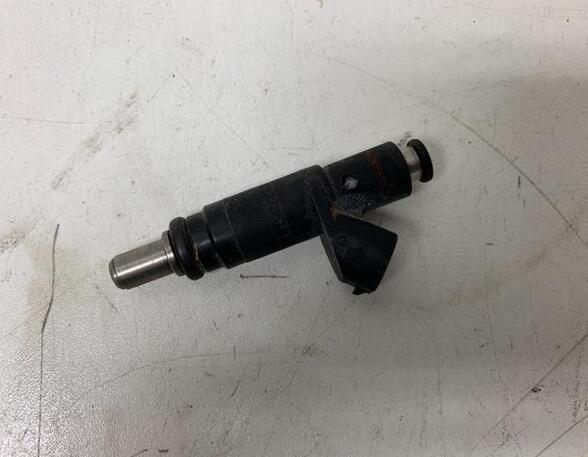 Injector Nozzle AUDI A4 Avant (8E5, B6), AUDI A4 Avant (8ED, B7)