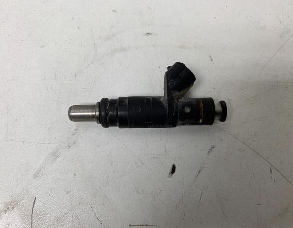 Injector Nozzle AUDI A4 Avant (8E5, B6), AUDI A4 Avant (8ED, B7)