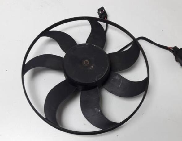 Radiator Electric Fan  Motor AUDI A3 (8P1), AUDI A3 Sportback (8PA)