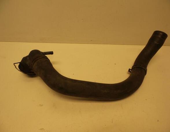 Radiator Hose AUDI A3 (8P1), AUDI A3 Sportback (8PA)