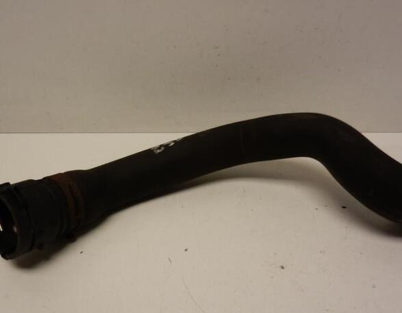 Radiator Hose AUDI A3 (8P1), AUDI A3 Sportback (8PA)