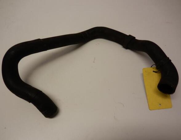 Radiator Hose AUDI A3 (8L1)