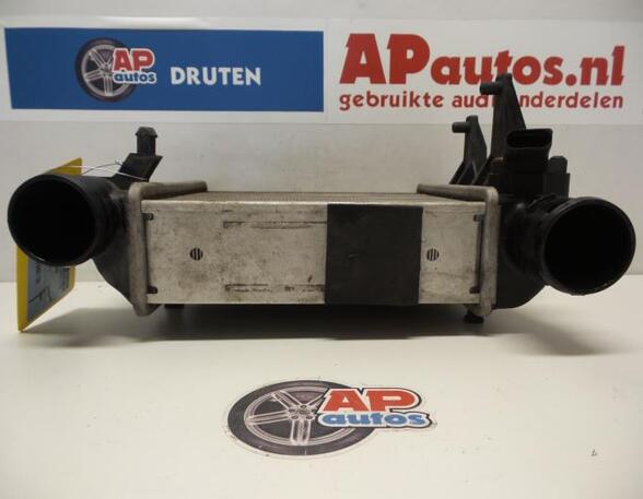 Intercooler AUDI A4 (8E2, B6), AUDI A4 Avant (8E5, B6), AUDI A4 Avant (8ED, B7), AUDI A4 B7 Convertible (8HE)