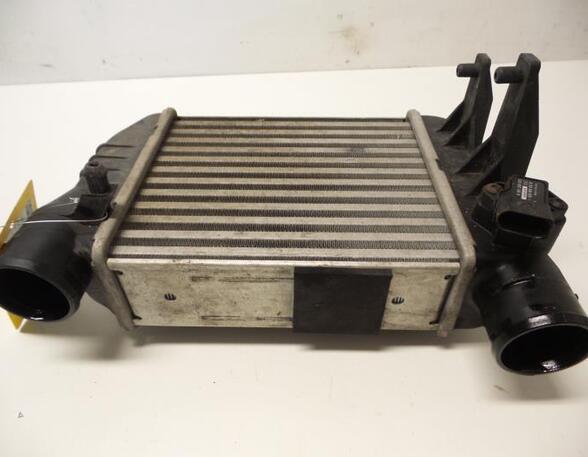 Intercooler AUDI A4 (8E2, B6), AUDI A4 Avant (8E5, B6), AUDI A4 Avant (8ED, B7), AUDI A4 B7 Convertible (8HE)