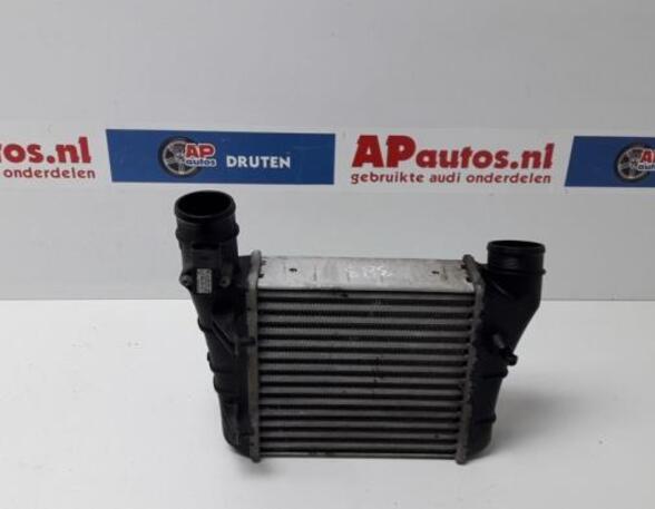 Intercooler AUDI A4 (8EC, B7)