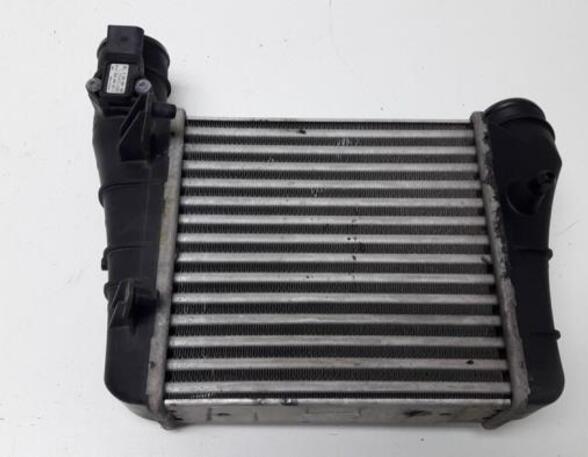 Intercooler AUDI A4 (8EC, B7)