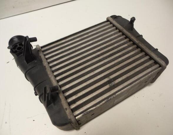 Intercooler AUDI A4 (8EC, B7)