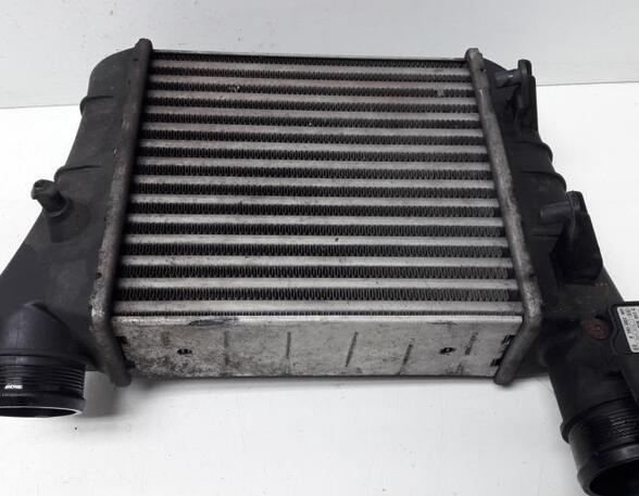 Intercooler AUDI A4 (8EC, B7)