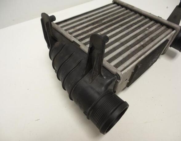 Intercooler AUDI A4 (8EC, B7)