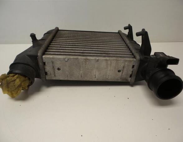 Intercooler AUDI A4 (8EC, B7)