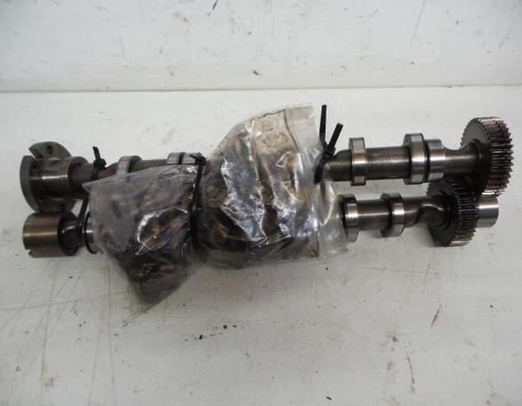 Camshaft AUDI A6 (4F2, C6)