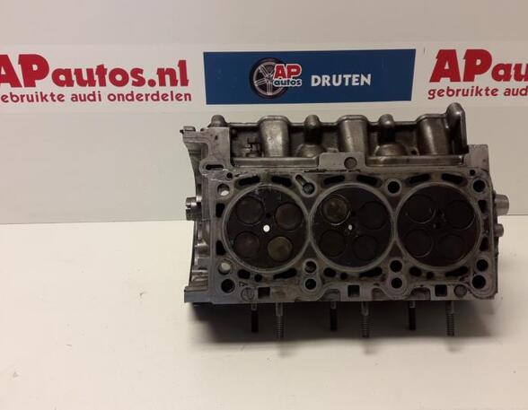 Cylinder Head AUDI A6 (4F2, C6)