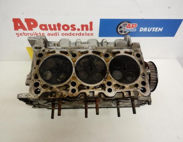 Cilinderkop AUDI A6 (4F2, C6)