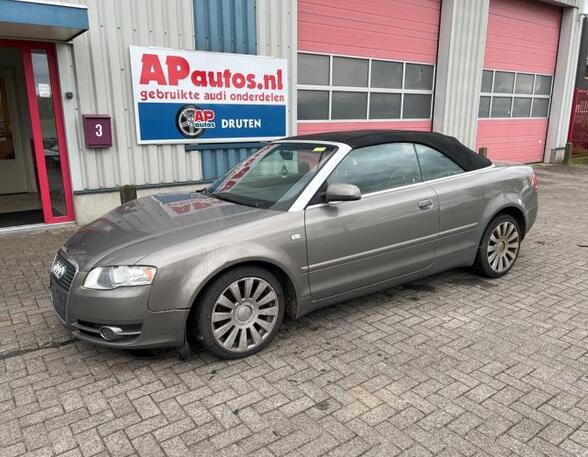 Bare Engine AUDI A4 B7 Convertible (8HE), AUDI A4 Avant (8E5, B6), AUDI A4 Avant (8ED, B7)