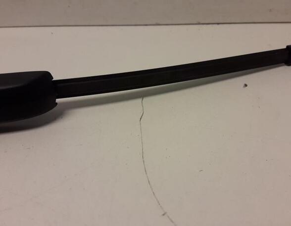 Wiper Arm AUDI A1 (8X1, 8XK), AUDI A1 Sportback (8XA, 8XF)