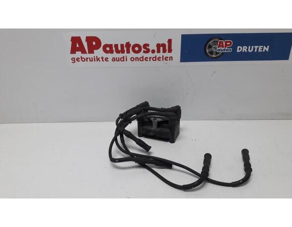 Ignition Coil AUDI A3 (8P1), AUDI A3 Sportback (8PA)