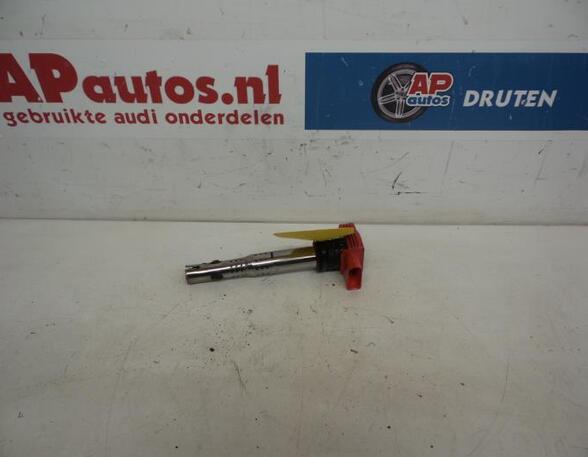 Ignition Coil AUDI A6 Avant (4F5, C6)