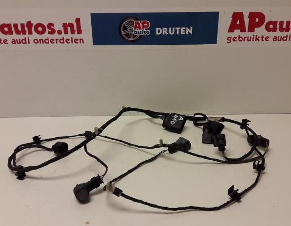 Parkeerhulpsensor AUDI Q7 (4LB)