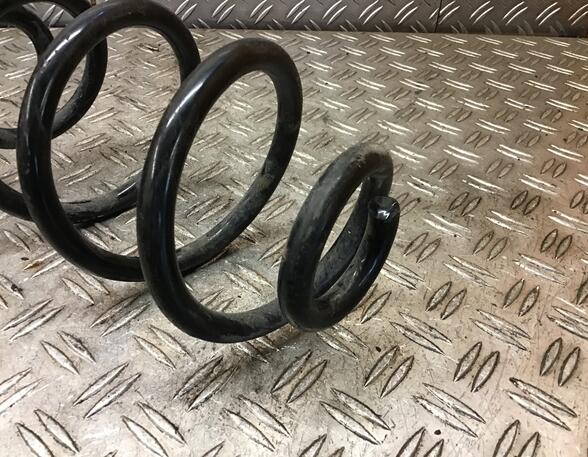 Coil Spring RENAULT Clio III (BR0/1, CR0/1)